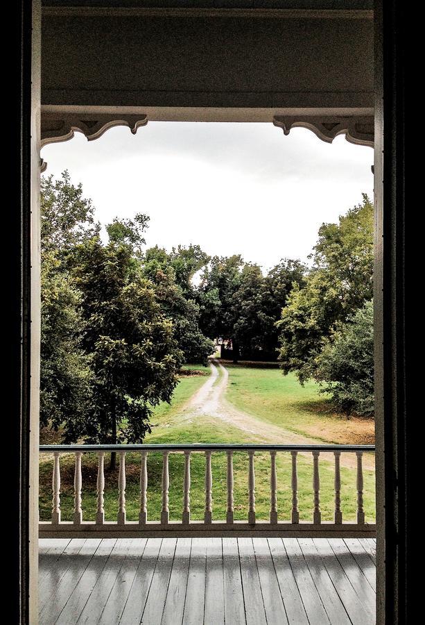 Bed and Breakfast Belmont Plantation, Est 1857 Greenville Zewnętrze zdjęcie